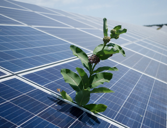 Imagen de placa solar